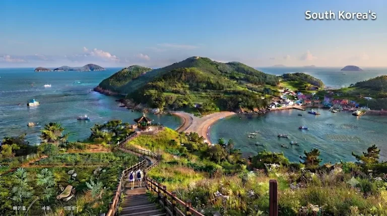 A scenic wooden walking path winding through the lush green forests and coastal views in Yaksando Travel Guide, South Korea.