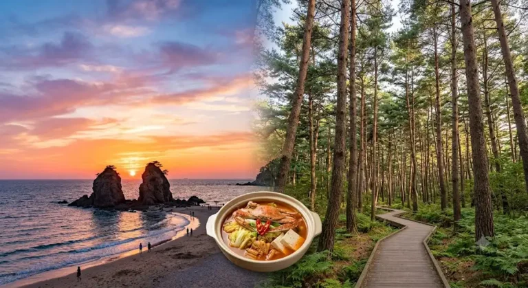 Comprehensive visual guide to Anmyeondo Island, South Korea, featuring the scenic Kkotji Beach sunset with the iconic rock formations on the left, a traditional Korean blue crab stew (Gegukji) in the center, and the pine forest walking trail in the Natural Recreation Forest on the right.